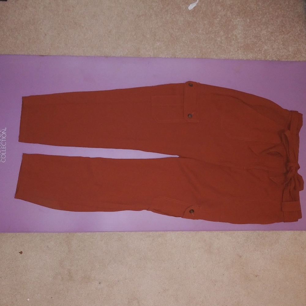 Express clay colored high rise pants size 8R